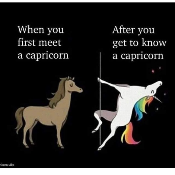 Meet your Posher, Ana - Picture 3 of 3